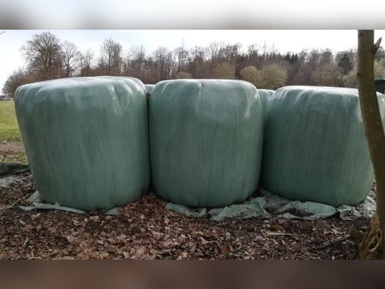 Cured Hay Silage