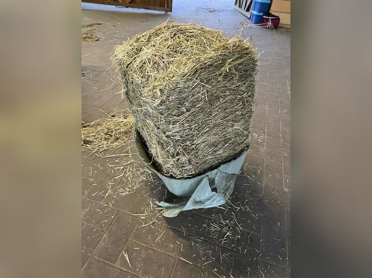 Organic hay, silage, and haylage in small bales