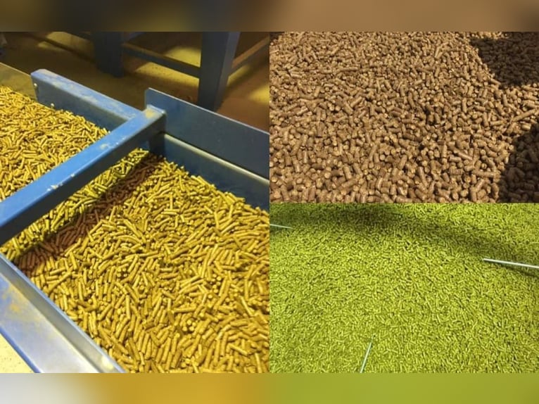 Regional alfalfa hay cubes, lucerne cubes, hay pellets, lucerne pellets, cobs, pellets, alfalfa Big 