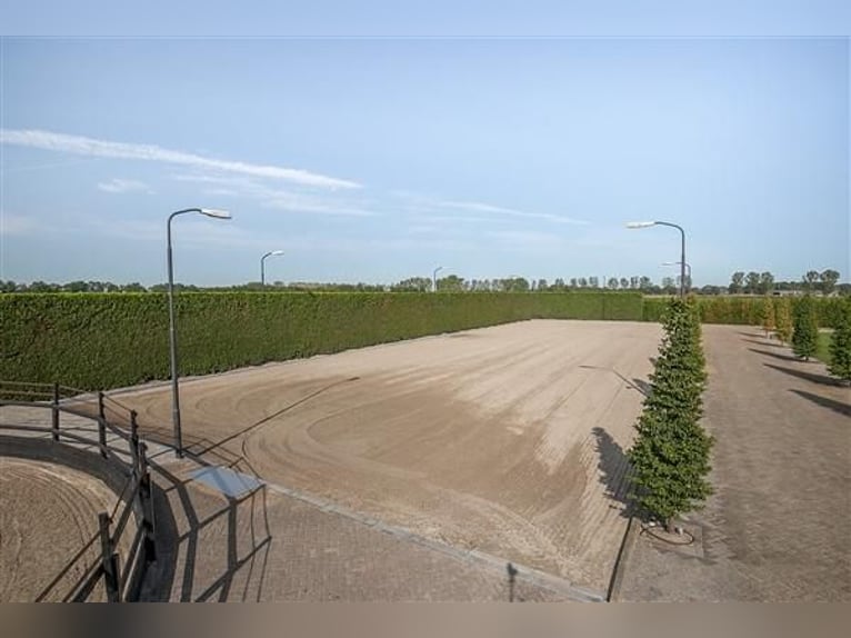 LUXUS Reitanlage nähe Deutsche Grenze in NL