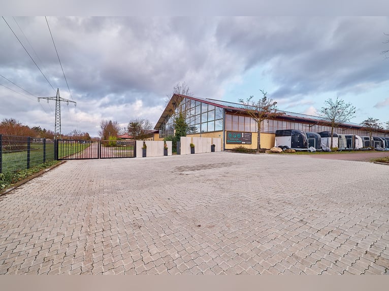 Profi-Reitanlage inklusive modernem Rehazentrum mit Pferdeschwimmbad in Bingen!