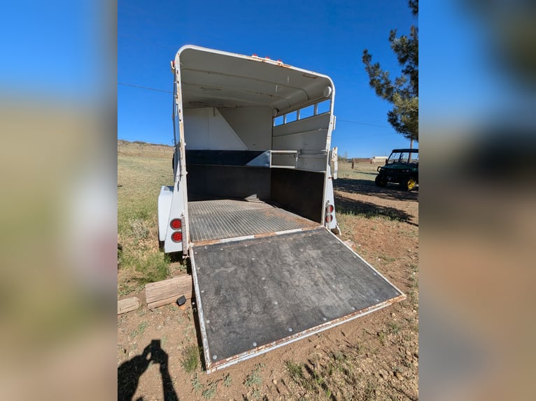 2 Quarter Horses and ALL the equipment you need