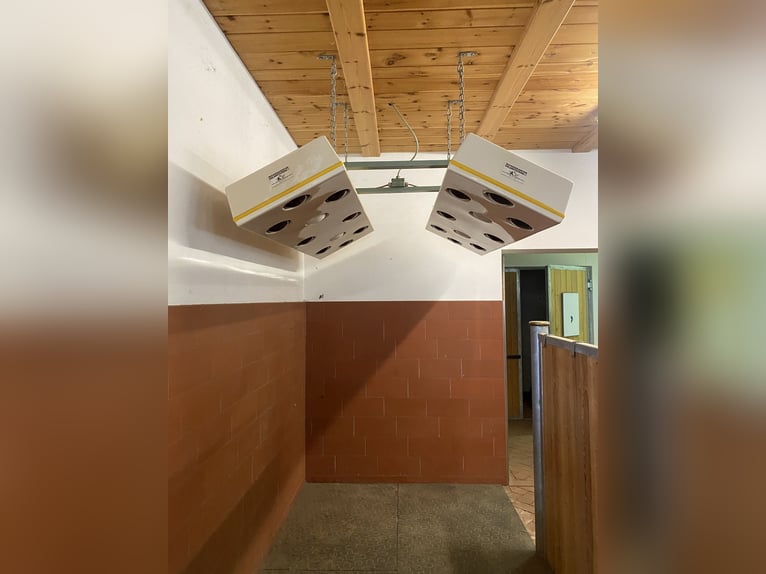 Complete RÖWER & RÜB stable for sale (12 boxes) + horse solarium