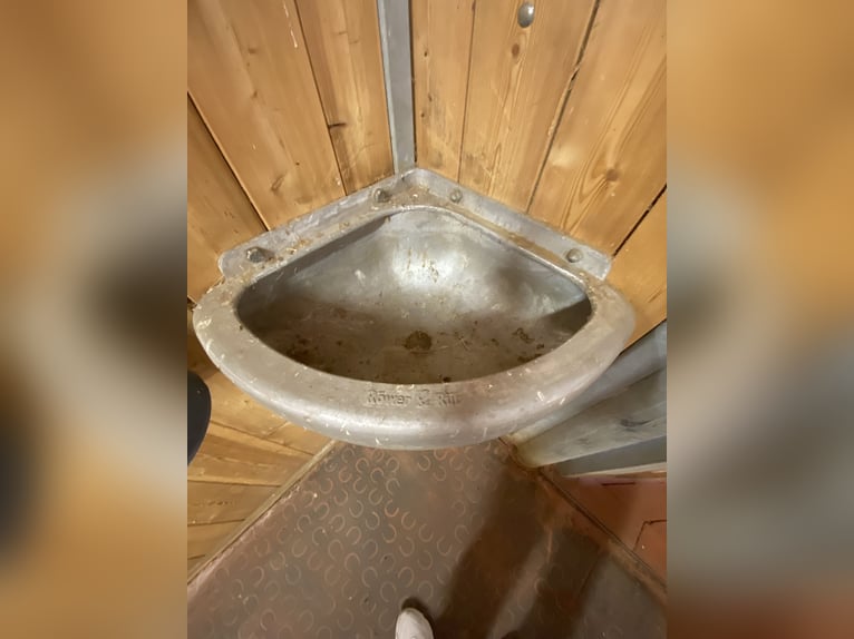 Complete RÖWER & RÜB stable for sale (12 boxes) + horse solarium