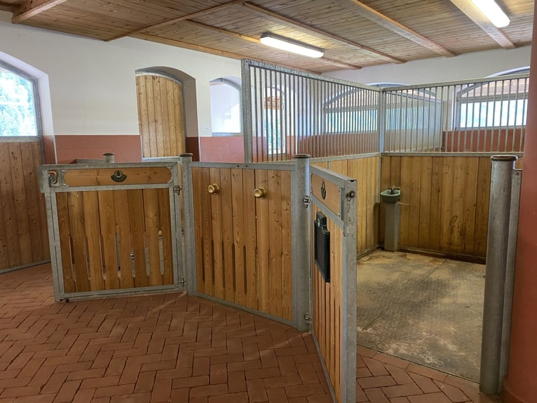 Complete RÖWER & RÜB stable for sale (12 boxes) + horse solarium