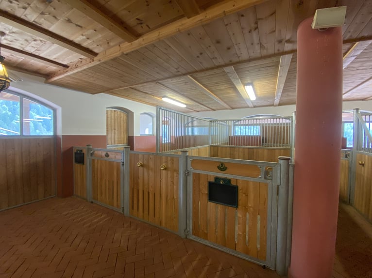Complete RÖWER & RÜB stable for sale (12 boxes) + horse solarium