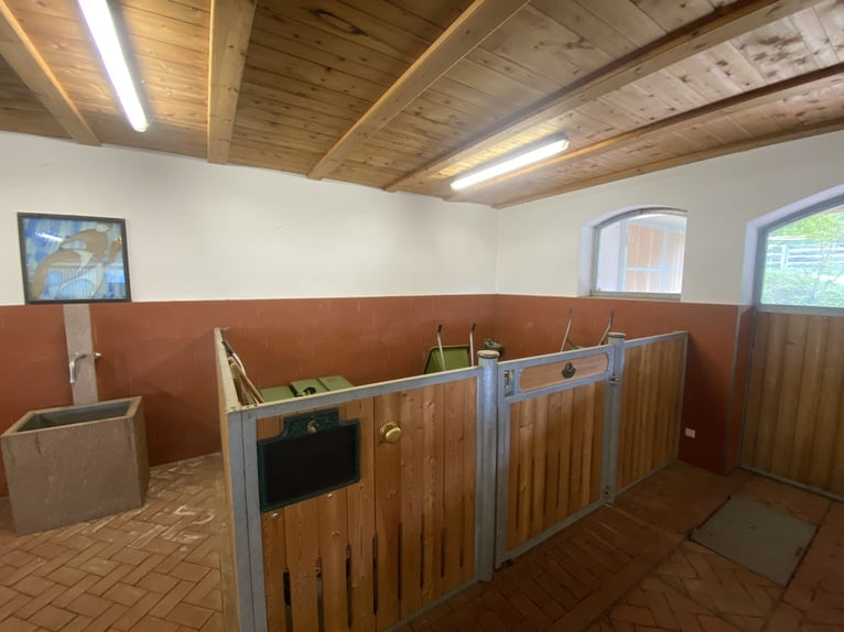 Complete RÖWER & RÜB stable for sale (12 boxes) + horse solarium