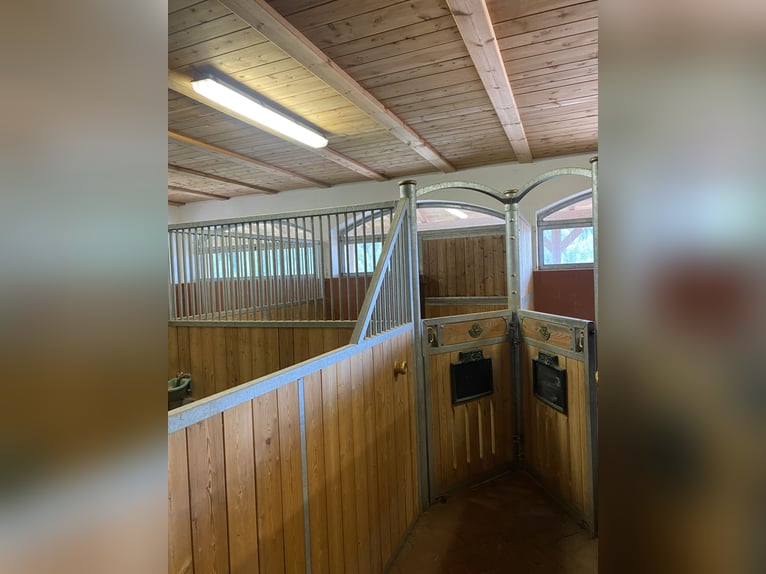 Complete RÖWER & RÜB stable for sale (12 boxes) + horse solarium