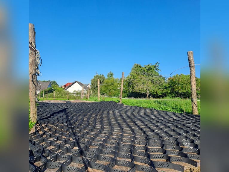 Geowaben, paddock tiles, paddock mats, paddock fencing