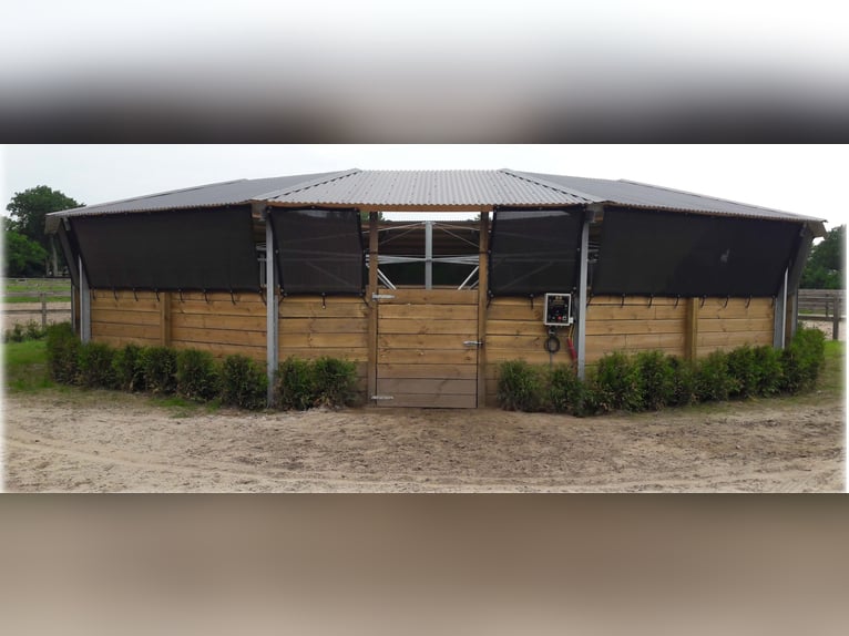 Horse walker, horse exercise system, equine walker, horse treadmill, horse exercise yard, horse turn