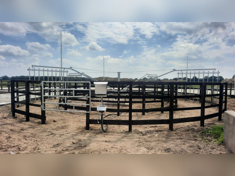 Horse walker, horse exercise system, equine walker, horse treadmill, horse exercise yard, horse turn