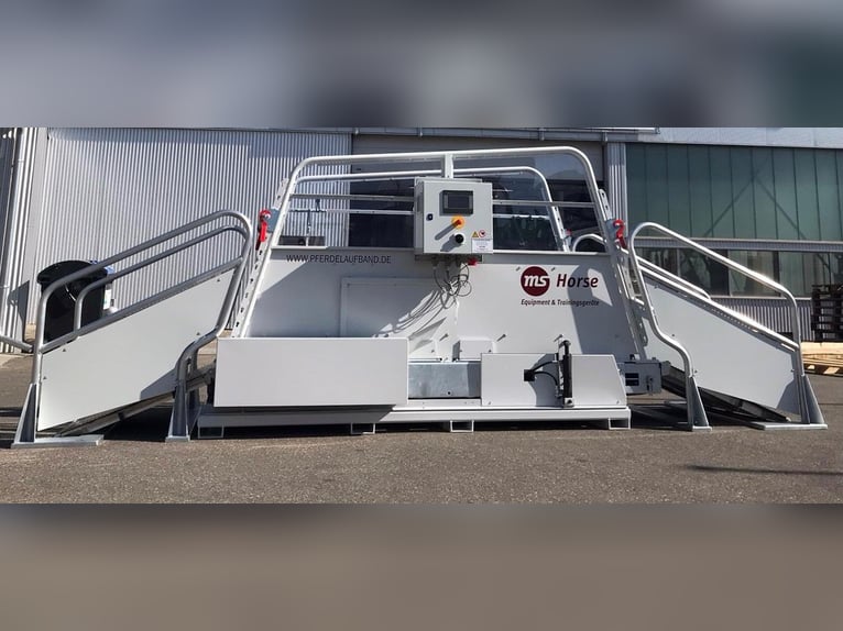 ms Pferdelauf Economy zum Sommerpreis