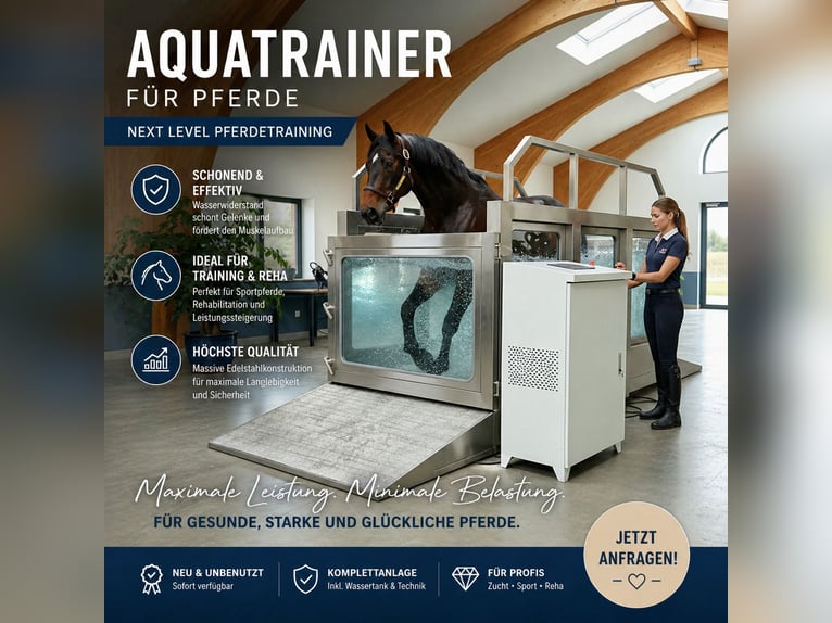 Premium stainless steel aquatrainer for horses – brand new and unused