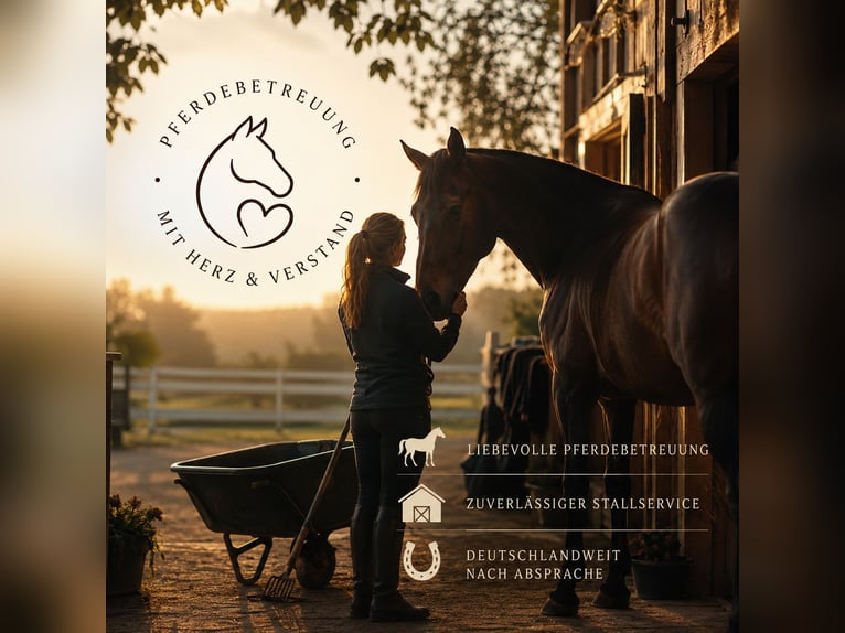 Reliable horse care and stable services – available nationwide in Germany upon request