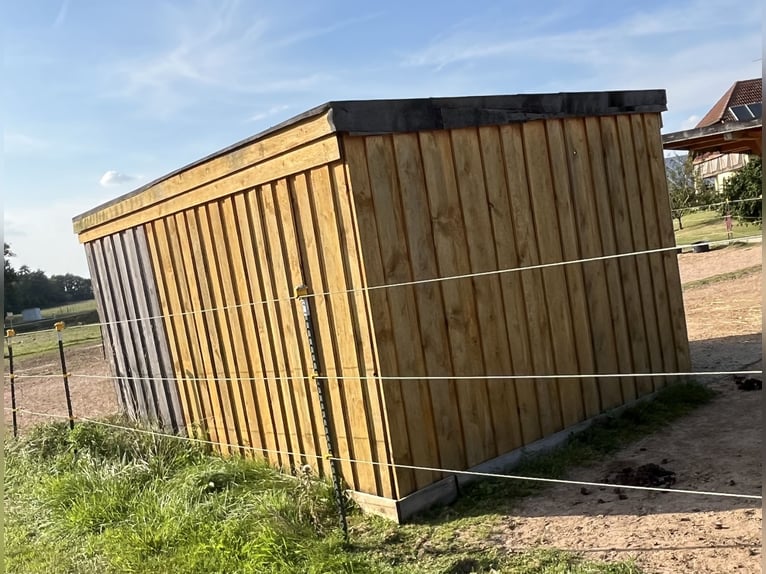 Weidehütte / Holzstall 