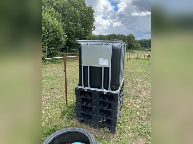 600L black IBC container with tap