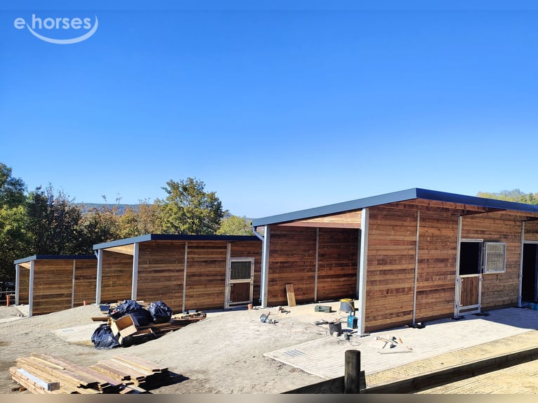 Buy a loose housing system for horses – build an open stable, find a field shelter, order a horse sh