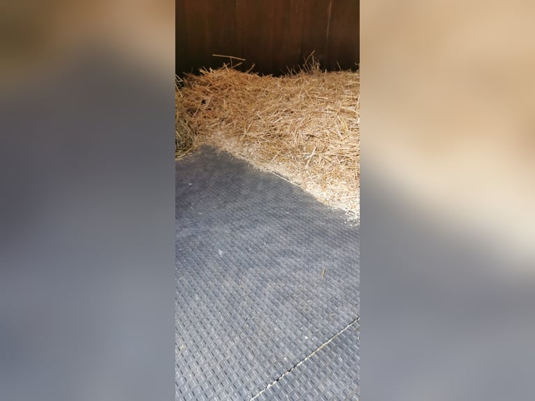 For sale: paddock mats and paddock slabs without substructure.