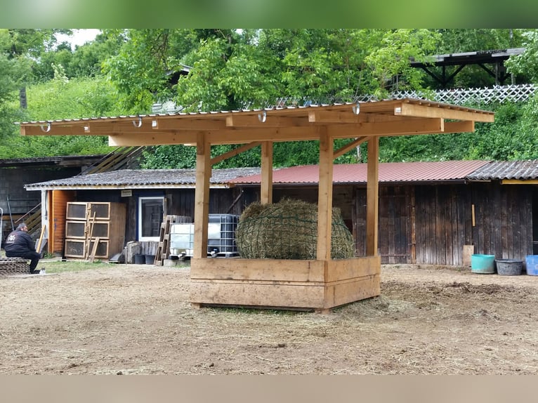 High-quality hay rack measuring 2 x 2 meters, made of solid material, extremely sturdy, with a 5 x 5