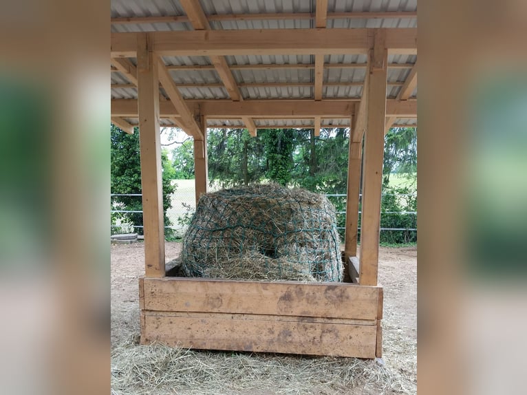 High-quality hay rack measuring 2 x 2 meters, made of solid material, extremely sturdy, with a 5 x 5