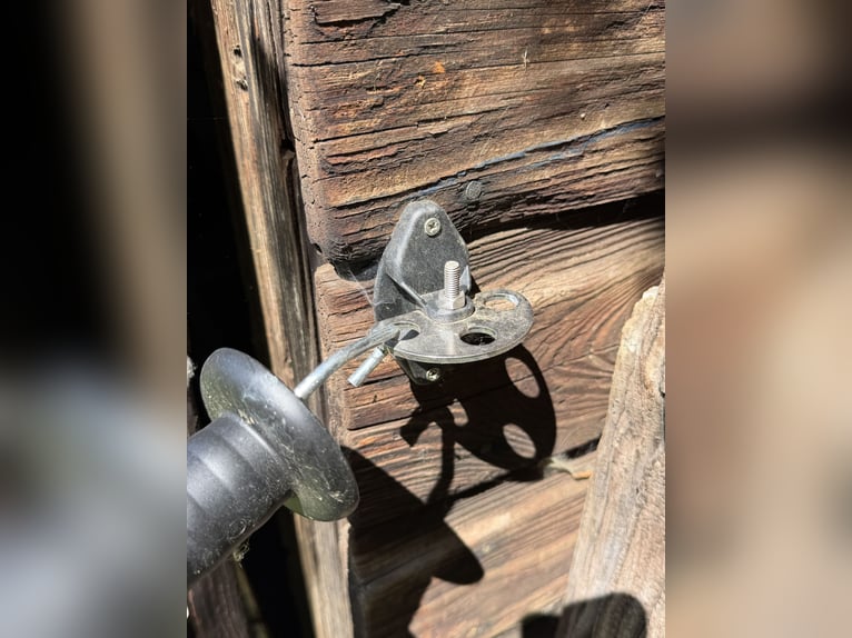 Horse Fence