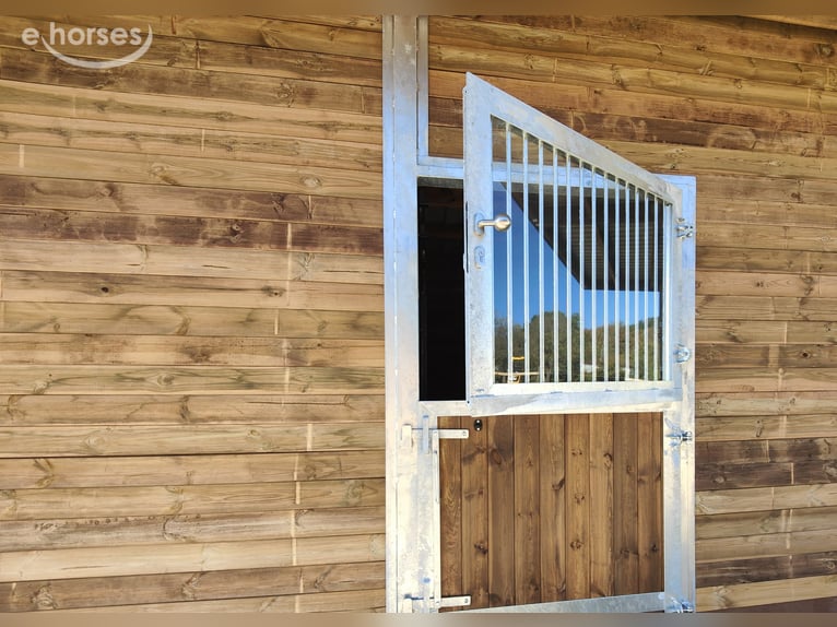 Horse Stable Construction & Stable Building – High-Quality Outdoor Stables from the Manufacturer
