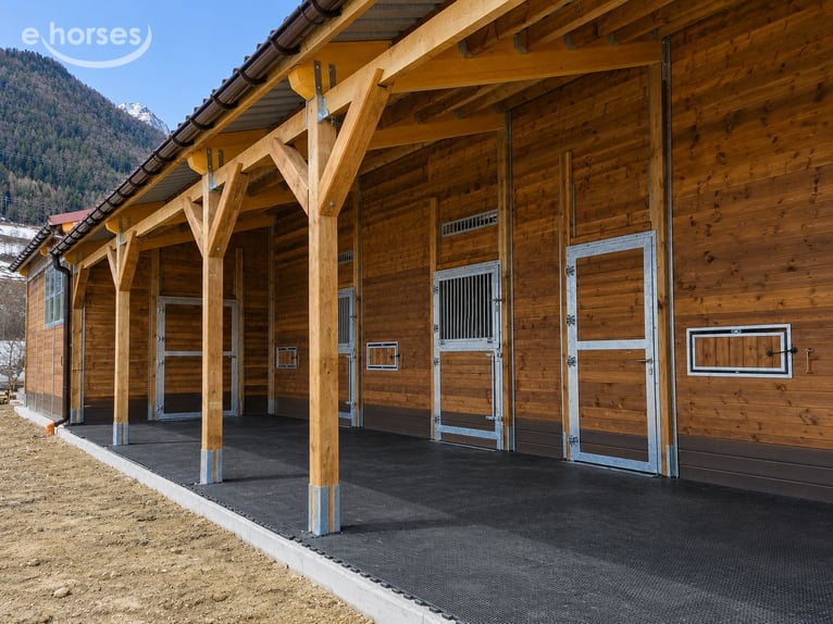 Horse Stable Construction & Stable Building – High-Quality Outdoor Stables from the Manufacturer