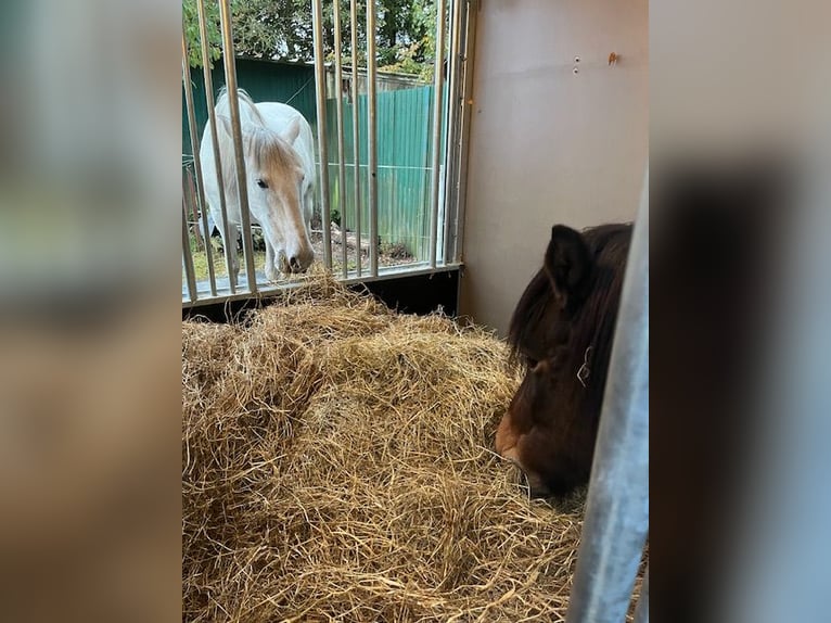 INNOVATIVE FUTTERMACHINE aus Finnland 