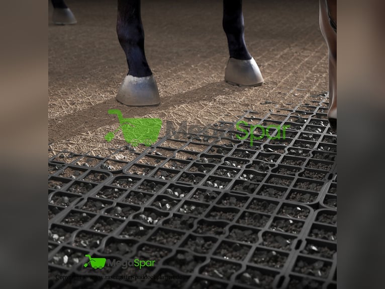 Rasengitter & Paddockplatten – Bodengitter, Kieswaben, Rasengitterplatten für Reitplatz & Kiesgitter