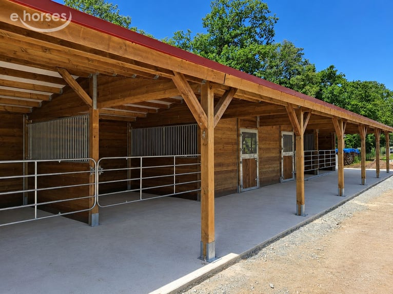 Stable Construction & Horse Stables – Buy Outdoor Stables and Horse Stalls & Shelters for Horses