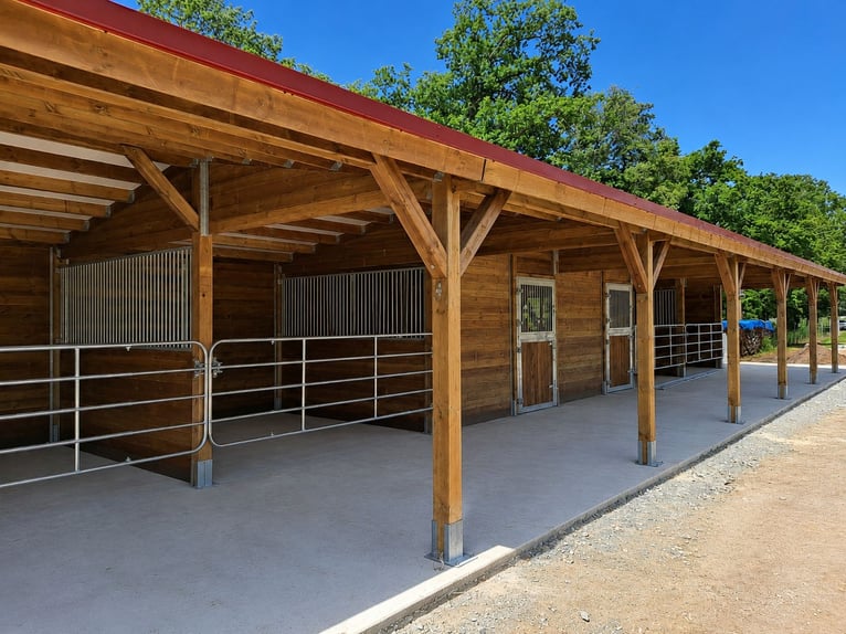 Stable Construction & Horse Stalls | Outdoor Stalls and Horse Boxes – Open Stable for Horses, Ideal 