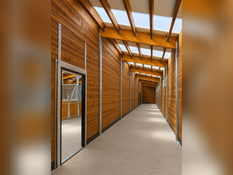 Stable Construction & Horse Stalls | Outdoor Stalls and Horse Boxes – Open Stable for Horses, Ideal 