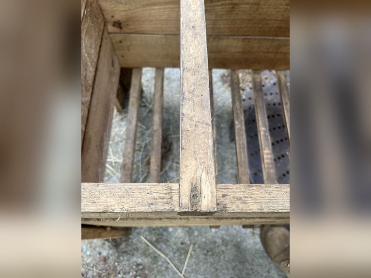 Feed Trough