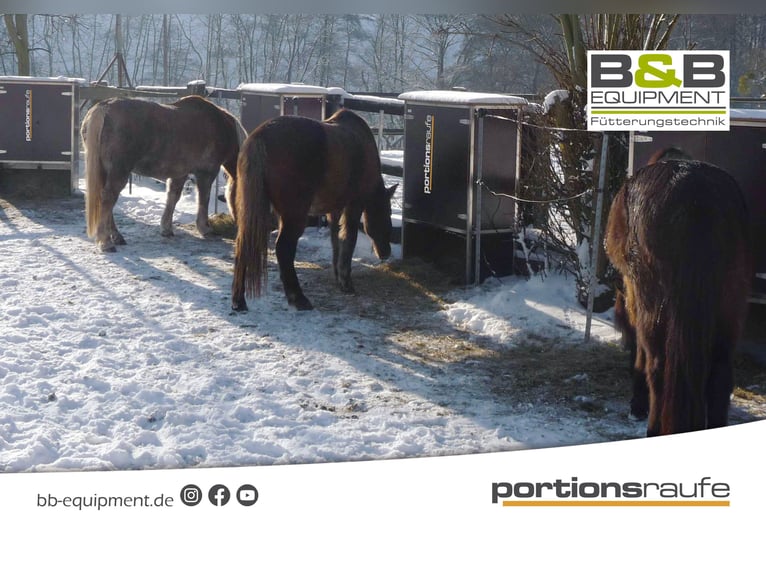 Four portions of hay stored in the hay rack, fed automatically with the portion feeder, up to 12 kg