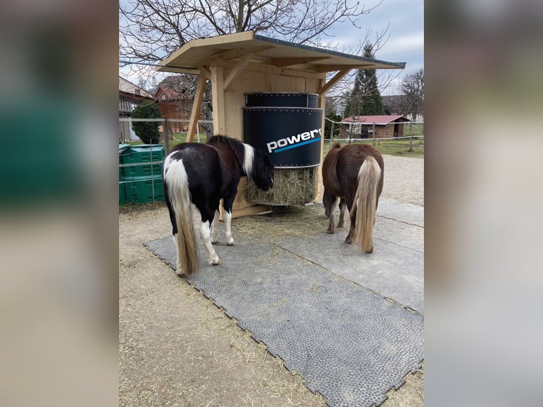 New time-controlled hay rack with optimal H²O – power feeder capable of holding up to 30 kg of hay