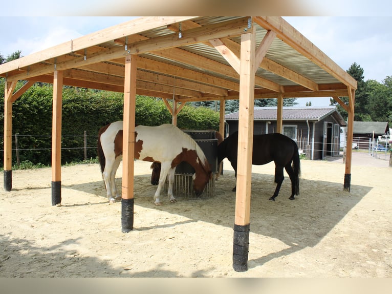 Time-controlled hay rack, the Power Rauf, suitable for up to 30 kg of hay, optionally with water.