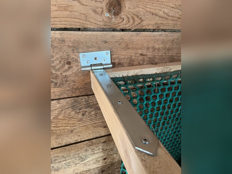 Wall-mounted hay net