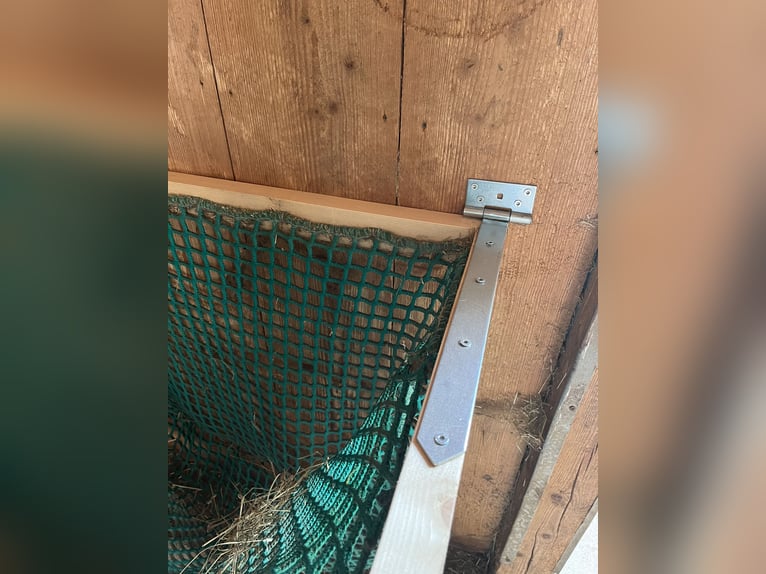 Wall-mounted hay nets