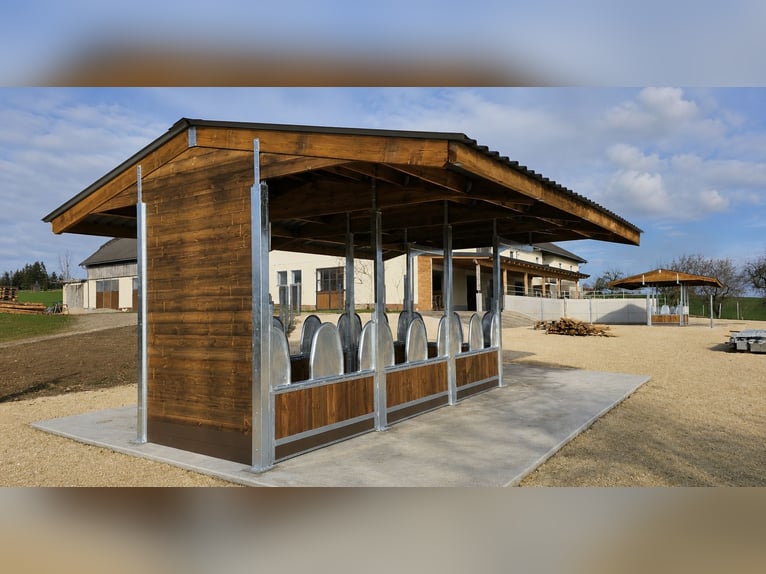 Pasture feeding racks for horses & feeding troughs, ideal horse feeding stations for stables