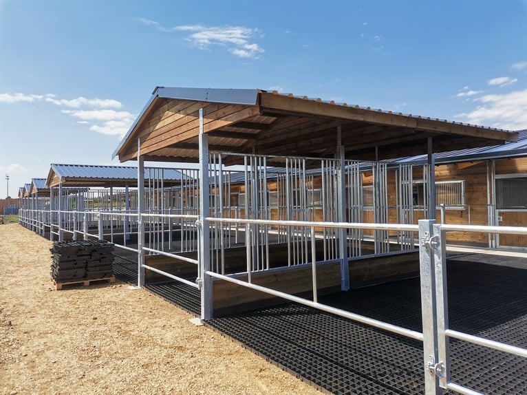 Pasture feeding racks for horses & feeding troughs, ideal horse feeding stations for stables