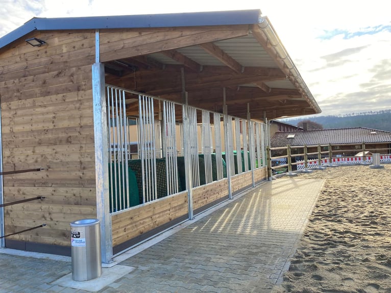 Pasture feeding racks for horses & feeding troughs, ideal horse feeding stations for stables