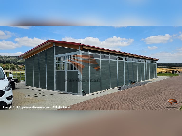 Pferdestall aus Kunststoff - Pferdebox und Außenstall | Stallungen & Offenstall kaufen - Unterstand