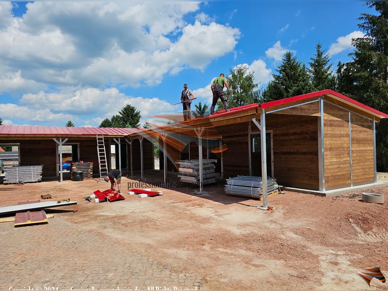 Pferdestall aus Kunststoff - Pferdebox und Außenstall | Stallungen & Offenstall kaufen - Unterstand