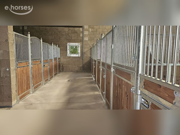 Stable Fronts & Stall Systems | Buy Horse Stalls – Indoor Stalls for Horses