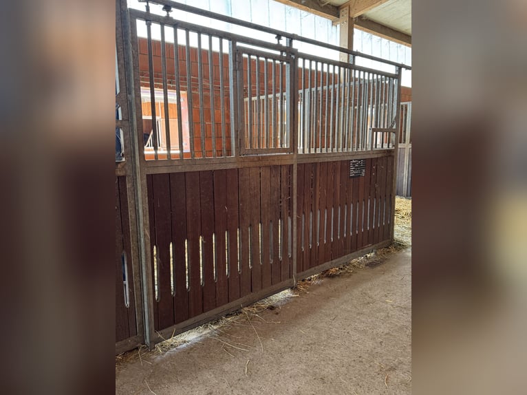 Stalls for Sale