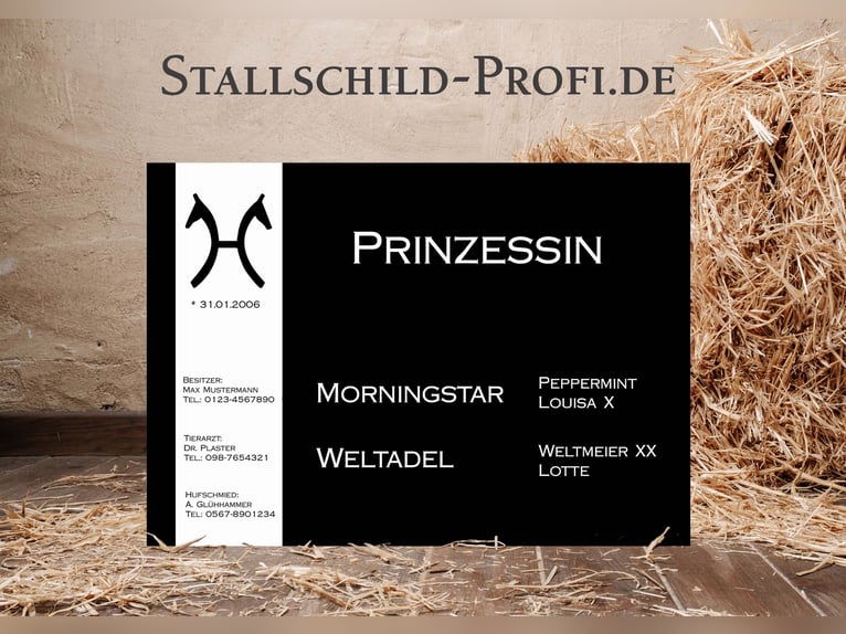 Your personalized stable nameplate for your horse – design it yourself or have it crafted by a profe