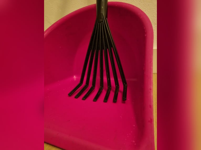 Mistboy Pink *Neuwertig*