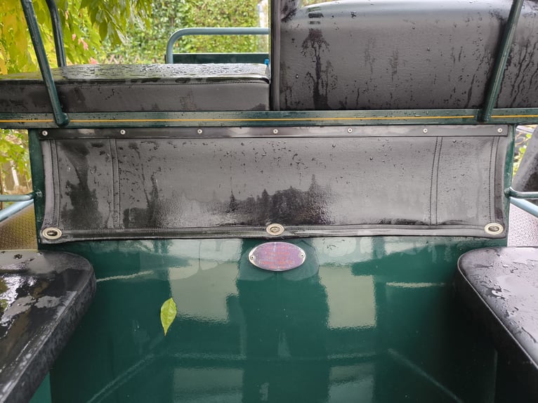 Carriage, single harness (single pair)