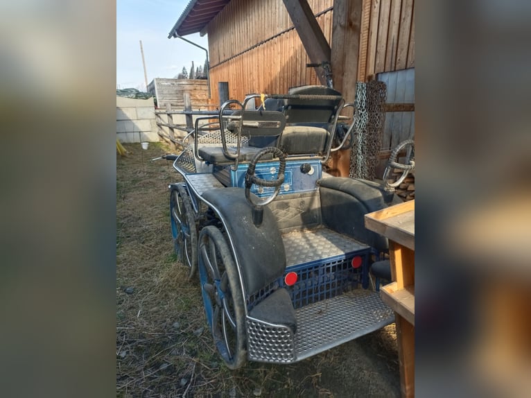 Heavy marathon carriage suitable for driving with 1-2 or 4-in-hand teams