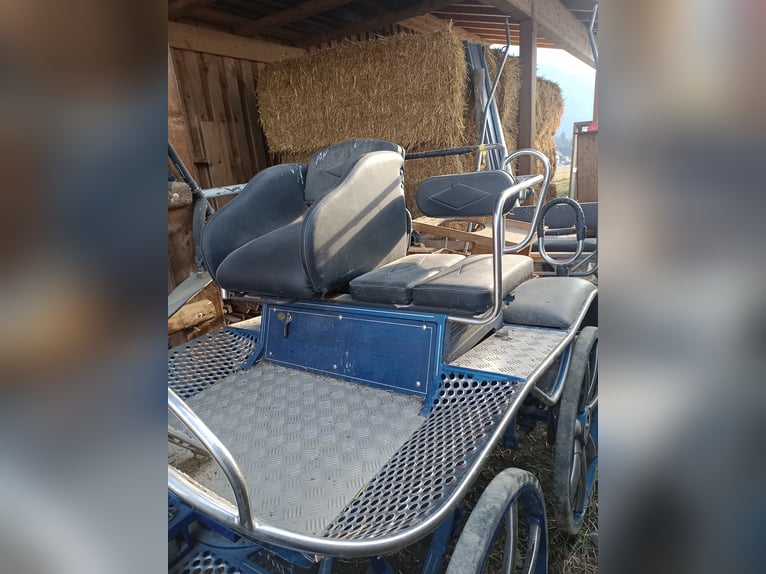 Heavy marathon carriage suitable for driving with 1-2 or 4-in-hand teams